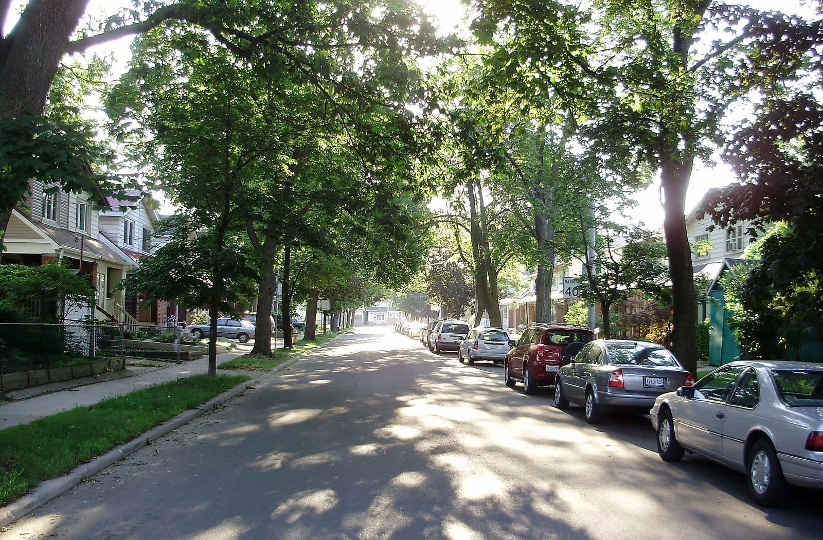 Sun-dappled, tree-lined residential street in Toronto's Danforth area with traditional houses and street parking